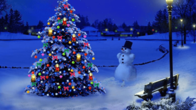 Wallpaper:3bvdzchrwcy= Christmas Picture