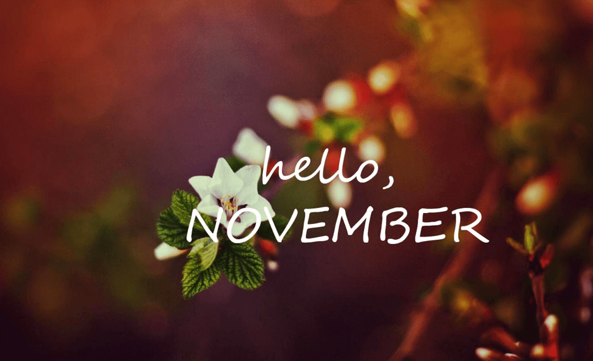 Wallpaper:7zdxkrnhdk4= Hello November