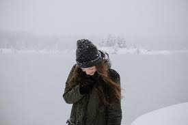 Arctic:Iaxp1wlebei= Seal