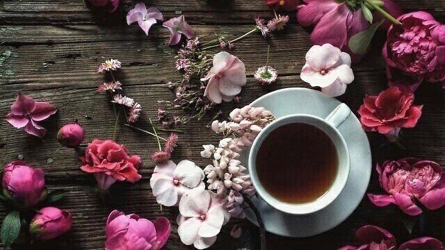 Aesthetic:Truztbk8kug= Flowers