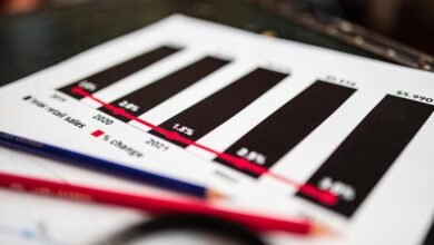 executive sector analysis report